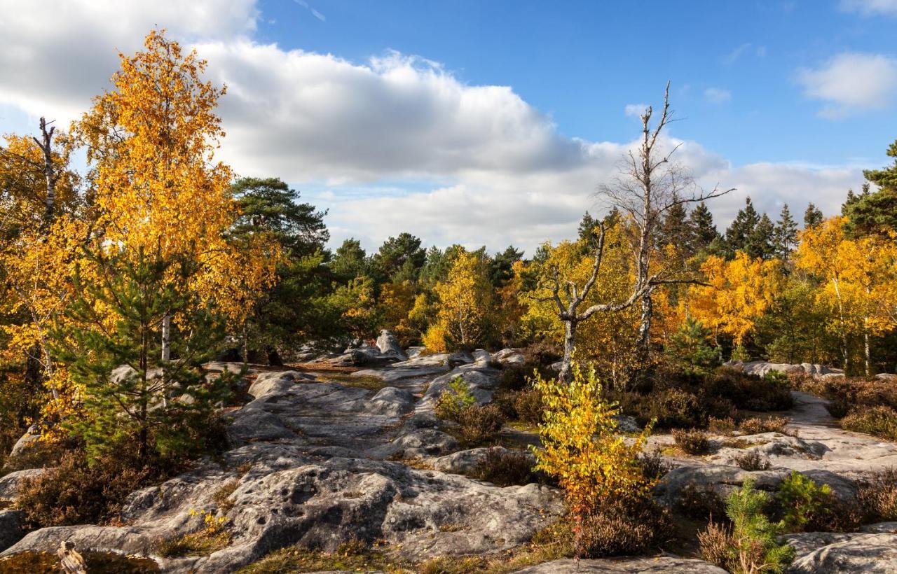 Suites Rive Gauche - Fontainebleau Chez Monique ภายนอก รูปภาพ